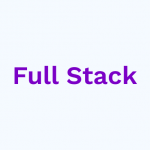 fast paced full stack roles